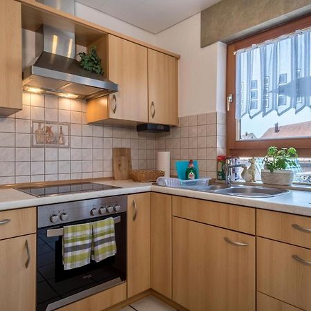 Haus Schussenblick Og Daire Eriskirch Dış mekan fotoğraf